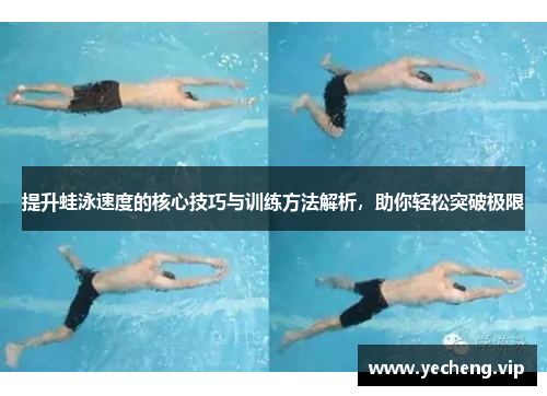 提升蛙泳速度的核心技巧与训练方法解析，助你轻松突破极限