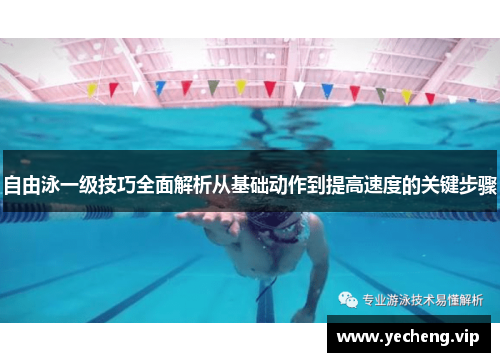 自由泳一级技巧全面解析从基础动作到提高速度的关键步骤