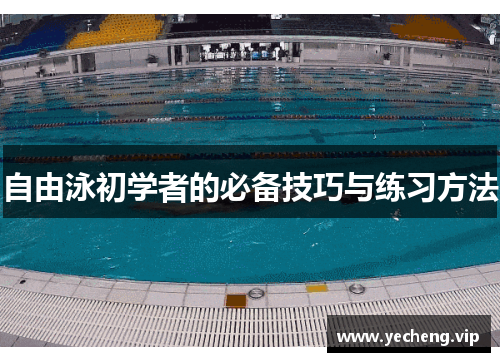自由泳初学者的必备技巧与练习方法