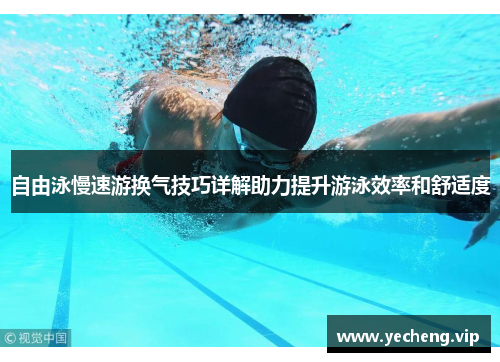 自由泳慢速游换气技巧详解助力提升游泳效率和舒适度