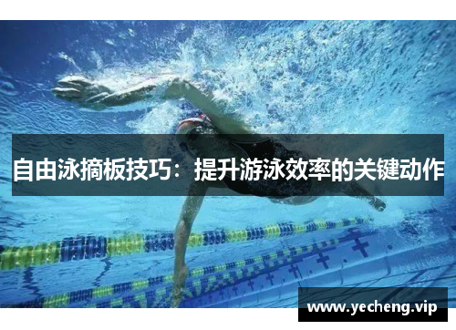 自由泳摘板技巧：提升游泳效率的关键动作