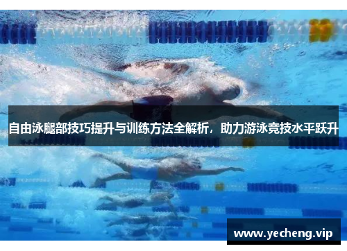 自由泳腿部技巧提升与训练方法全解析，助力游泳竞技水平跃升