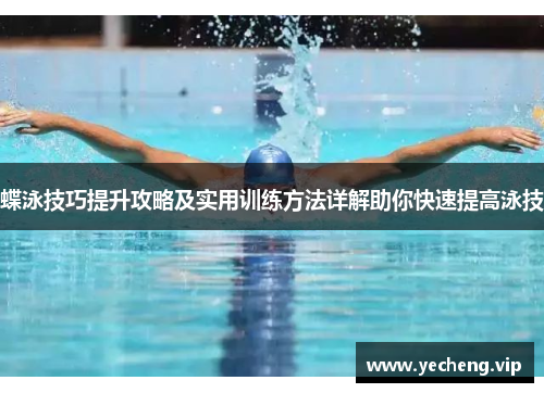 蝶泳技巧提升攻略及实用训练方法详解助你快速提高泳技